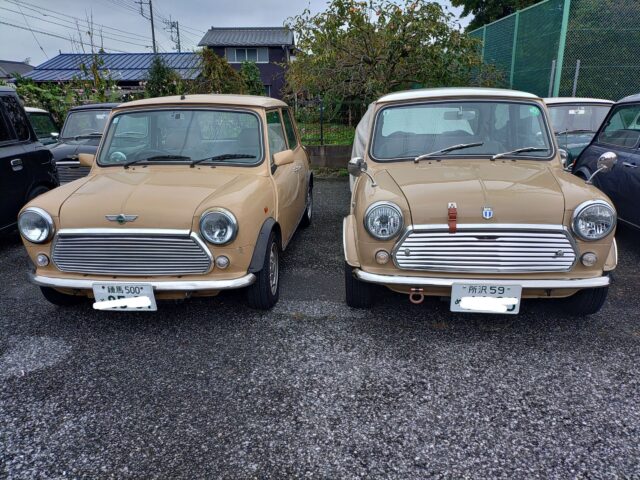 明日は冬の陽気。