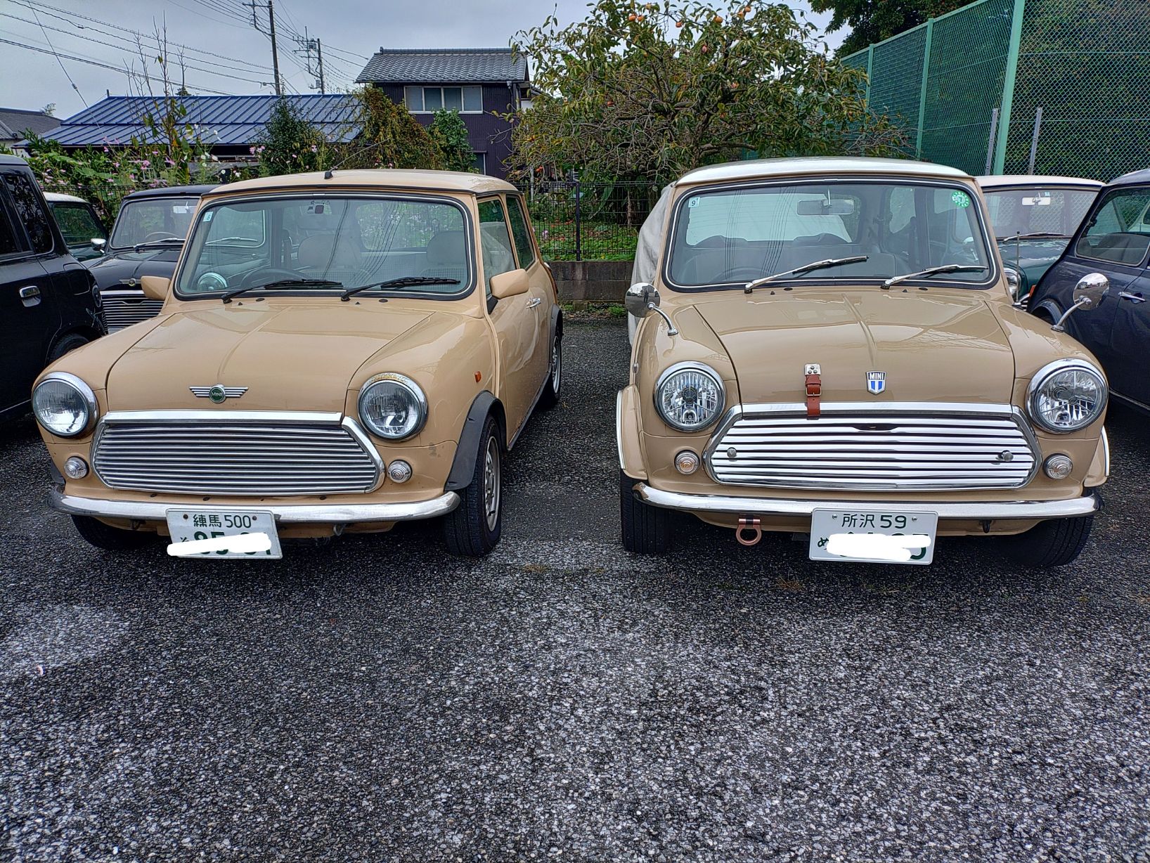 明日は冬の陽気。