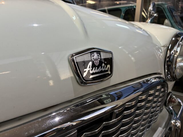 仕上がってます。