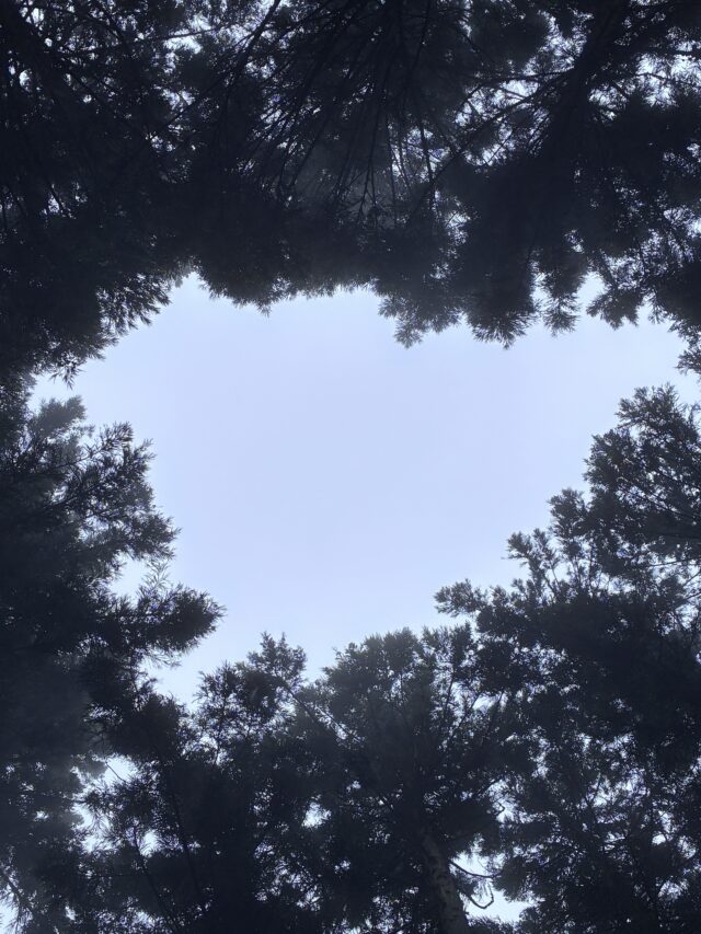 9/19